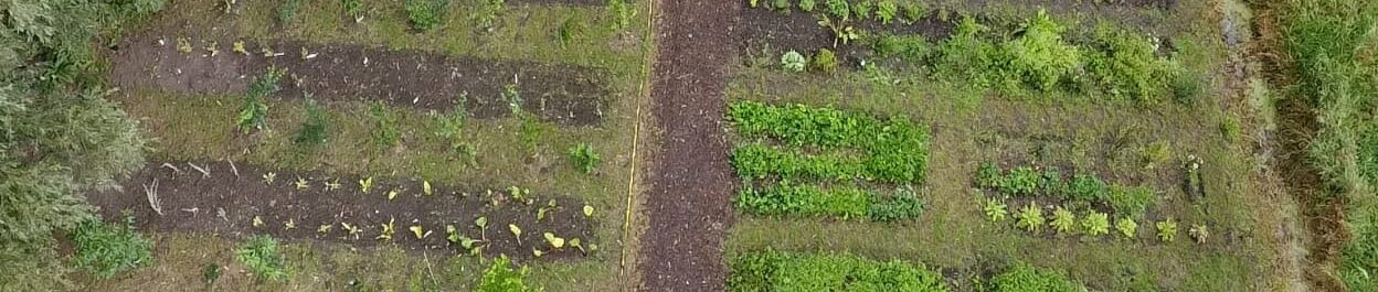 Onze Missie Kwekerij Stekkers Planten Voor Je Eetbare Tuin En