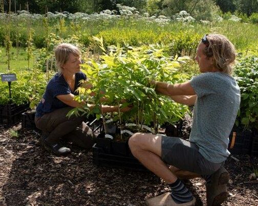Middel Clan niet verwant Home - Stekkers: planten voor je eetbare tuin en voedselbos